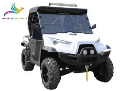  Side by Side Buggy UTV 4x4 for Sale in Netherlands