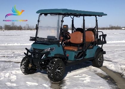 FX100D 6 sites Golf Cart for Sale in Germany