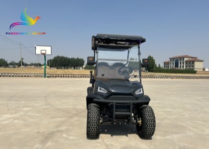 FX100B Cheap Golf Carts for Sale in USA