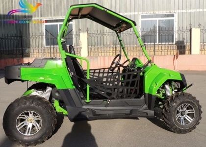 FX200 TIGER UTV for Sale in Italy