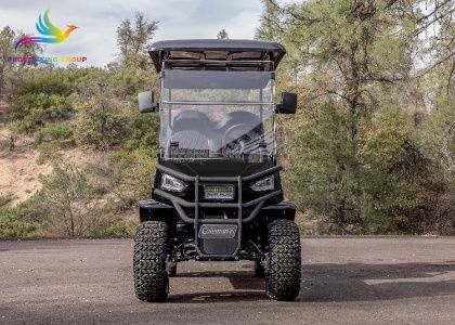 Lowest Price Electric Golf Cart for Sale in Indonesia