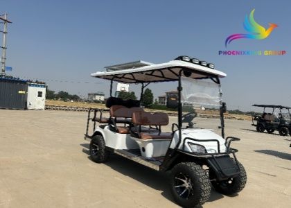 FX100C Newly Evolution Golf Cart for Sale in Croatia
