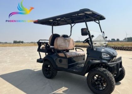 FX100B Cheap Golf Carts for Sale in Ireland