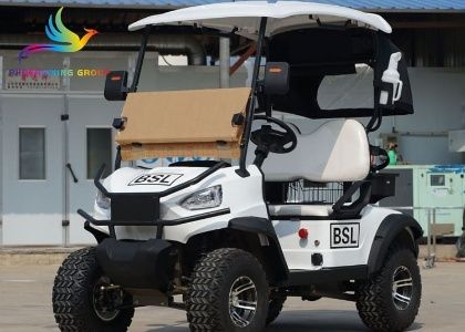 FX100B Cheap Golf Carts for Sale in Indonesia