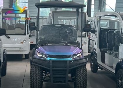 FX200XXK Rainbow Golf Cart for sale in France
